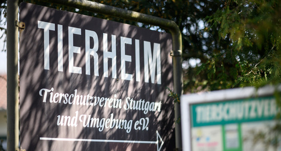 Ein Schild mit der Aufschrift „Tierheim“ steht vor dem Tierheim in Stuttgart. (Bild: picture alliance/Sebastian Gollnow/dpa)