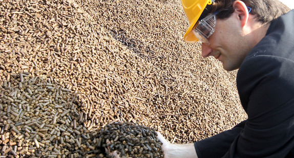 Ein Mann greift in einen Berg Holzpellets (Symbolbild: © dpa).