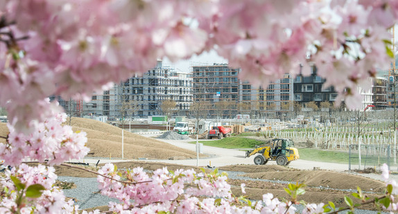 Heilbronn: Ein Baggerlader fährt auf dem Gelände der Bundesgartenschau hinter einem Kirschbaum. (Foto: © dpa)