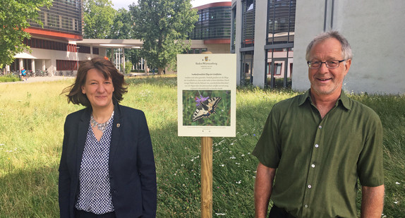 Blühende Wiesen auf dem Campus Süd des Karlsruher Instituts für Technologie (KIT): Mit neuen Schildern wird auf das ökologische Pflegekonzept hingewiesen. Staatssekretärin Gisela Splett und Peter Zöllner, beim Amt Karlsruhe von Vermögen und Bau Baden-Württemberg unter anderem für das Grünflächenmanagement zuständig, machten sich vor Ort ein Bild davon, wie es grünt, blüht, flattert und summt.