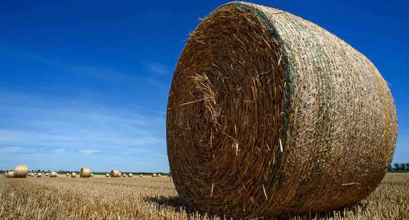 Ein Strohballen auf einem abgeernteten Kornfeld.