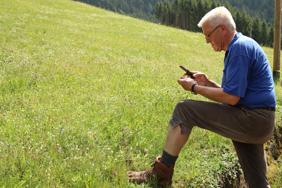 Wanderung von Schramberg nach Schiltach: Ministerpräsident Winfried Kretschmann nutzt mit seinem Smartphone eine App zur Bestimmung von Pflanzen