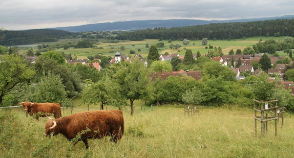 Unser Dorf hat Zukunft