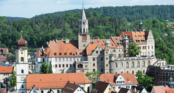 Das Schloss Sigmaringen über der Stadt (Foto: © dpa)