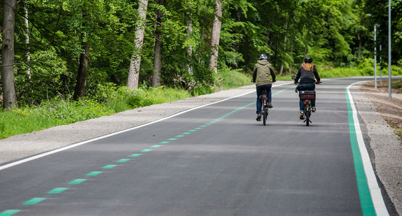 Radfahrer fahren auf dem neuen Radschnellweg zwischen Böblingen/Sindelfingen und Stuttgart (Bild: picture alliance/Christoph Schmidt/dpa)