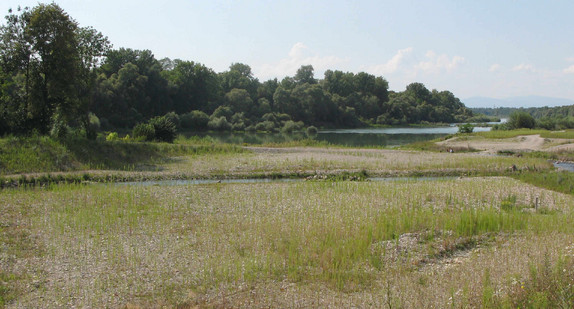 Hochwasserrückhalteraum Südlicher Oberrhein