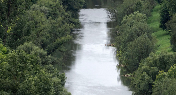 Ein Stocherkahn fährt auf dem Neckar.