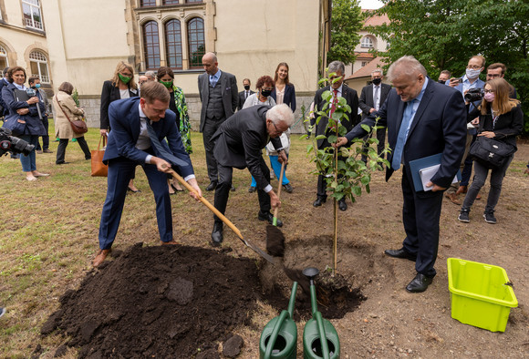 v.l.n.r.: Michael Kretschmer, Ministerpräsident von Sachsen, Ministerpräsident Winfried Kretschmann und Andreas Kämpe, Schullleiter des Schiller-Gymnasiums in Bautzen, pflanzen einen Baum ein. (Bild: Staatsministerium Baden-Württemberg) 