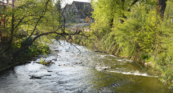 Die Echaz in Betzingen