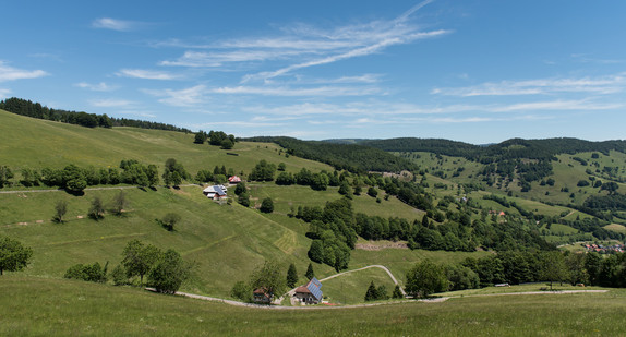 Blick in das Tal bei Wieden im Südschwarzwald. (Bild: dpa)