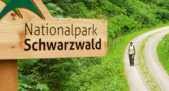Eine junge Frau wandert durch den Nationalpark Schwarzwald. (Bild: © Staatsministerium Baden-Württemberg)
