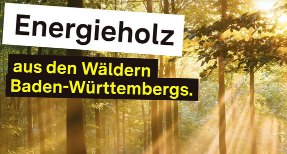 Kampagnenplakat "Energieholz aus den Wäldern Baden-Württembergs"