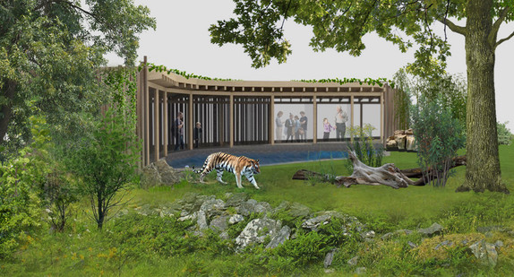 Perspektive mit Tigerbecken und Besuchsstand Amur-Tigeranlage Wilhelma