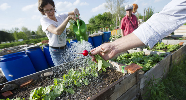 Urban Gardening (Bild: © dpa)