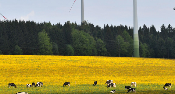 Windräder drehen im Wind. (Bild: © dpa)