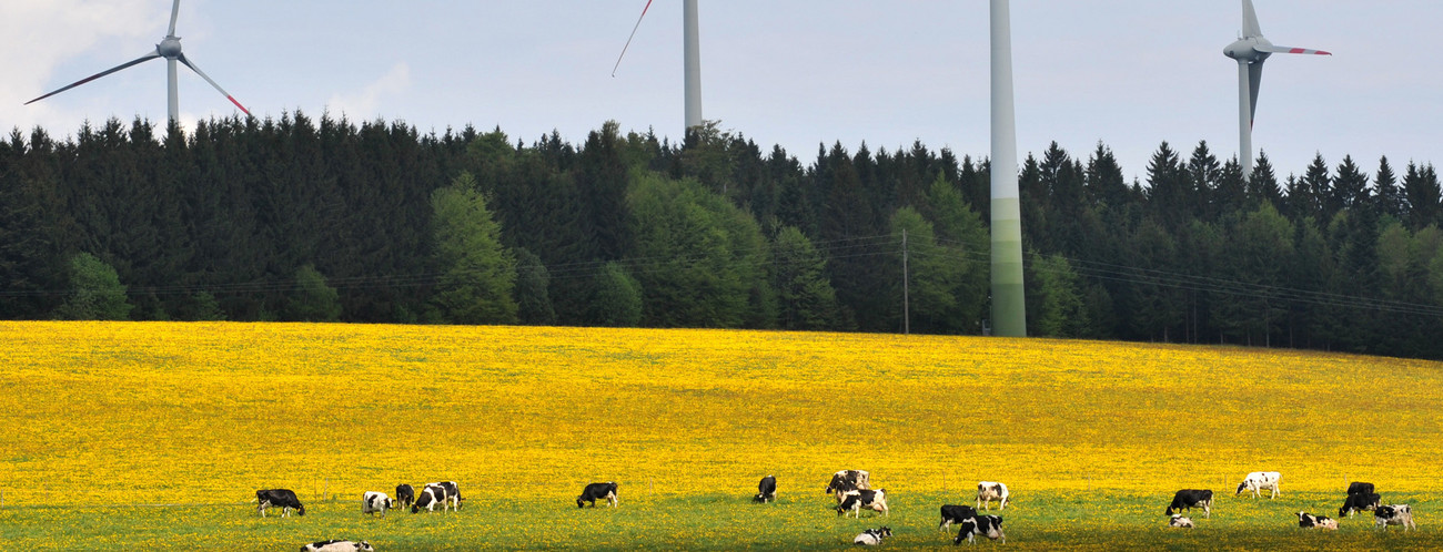 Windräder drehen im Wind. (Bild: © dpa)