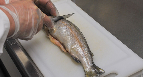 Symbolbild: Monitoring-Projekt untersucht verschiedene Fischprodukte. (Bild: Chemisches und Veterinäruntersuchungsamt (CVUA) Freiburg)