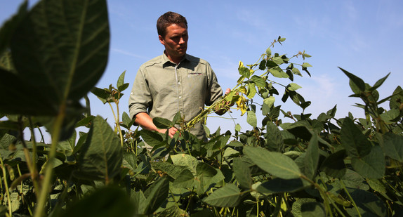 Ein Landwirt steht auf einem Soja-Feld. (Bild: © dpa)