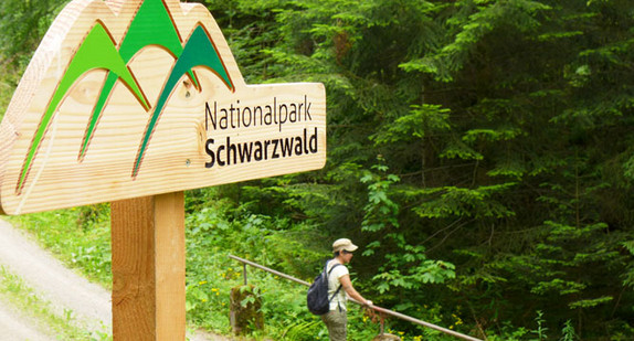 Eine junge Wandererin steht im Nationalpark Schwarzwald an einer Brüstung.