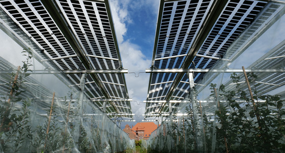 Landwirtschaftliches Technologiezentrum Augustenberg Agri-PV-Forschungsanlage