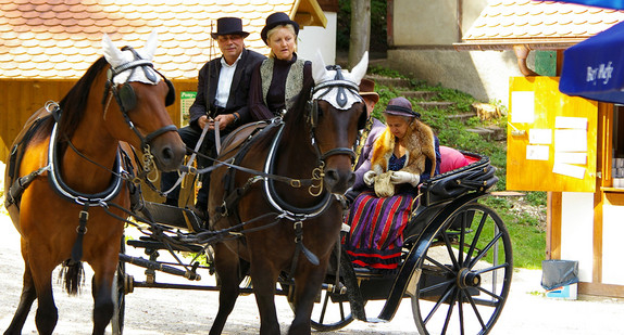 Pferdekutsche in Naturtheater Heyingen