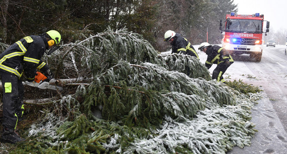 Ein Feuerwehrmann zersägt auf der B500 am Feldberg im Schwarzwald einen umgestürzten Baum (Bild: © dpa).