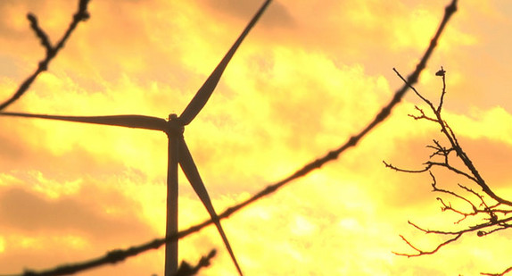 Windrad im Hardthäuser Wald im Sonnenuntergang.