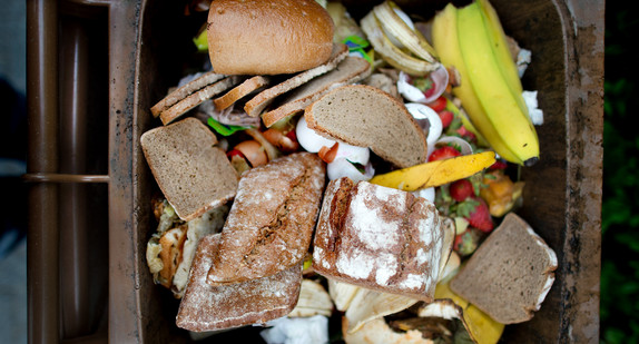 In einer braunen Biomülltonne liegen Lebensmittel.