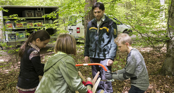 Kinder lernen mit Hilfe der Waldbox und sägen unter Aufsicht eines Försters einen Baumstamm. (Foto: Ministerium für Ländlichen Raum und Verbraucherschutz Baden-Württemberg)