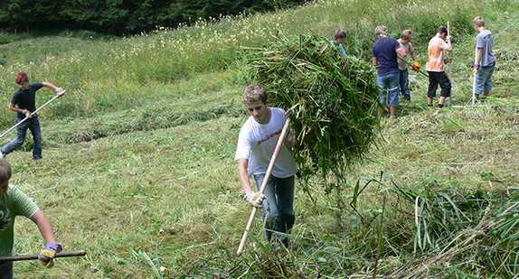 Landschaftspflege