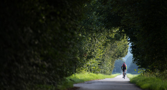 Ein Fahrradfahrer fährt in der Nähe von Tübingen in Baden-Württemberg auf einem Feldweg. (Bild: dpa)