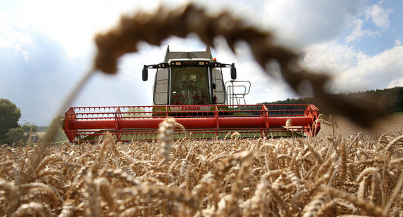 Ein Mähdrescher erntet ein Weizenfeld ab. (Foto: dpa)