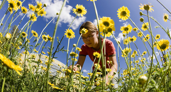 Eine Jugendliche arbeitet während ihres Freiwilligen Sozialen Jahrs auf einem Feld. (Bild: © dpa)