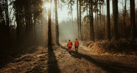 Arbeiten im Wald