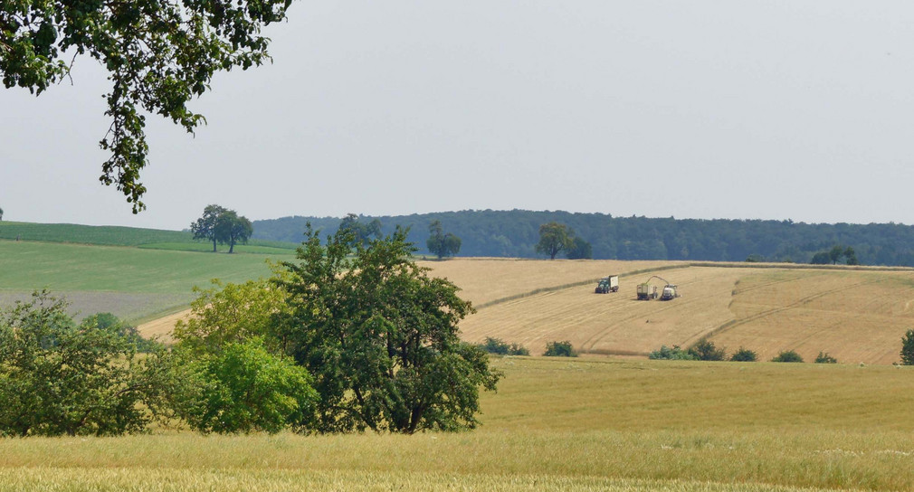 Flurneuordnung Schefflenz-Oberschefflenz