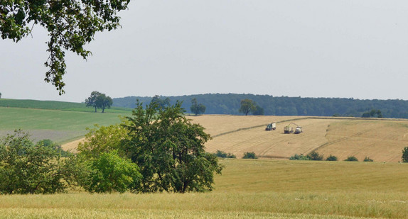 Flurneuordnung Schefflenz-Oberschefflenz