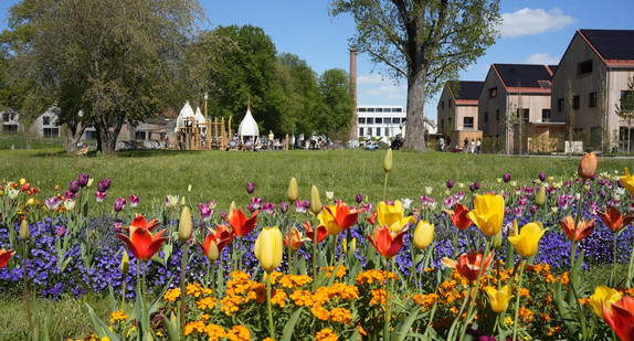 Blick auf die Landesgartenschau Wangen mit einem bunten Blumenfeld im Vordergrund