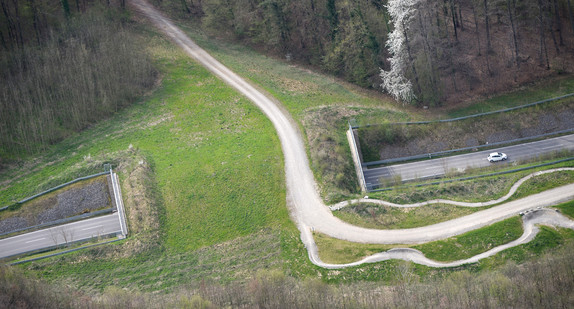 Ein Auto fährt auf dem Messezubringer in Friedrichshafen aus einem Wildübergang hinaus (Bild: © dpa).