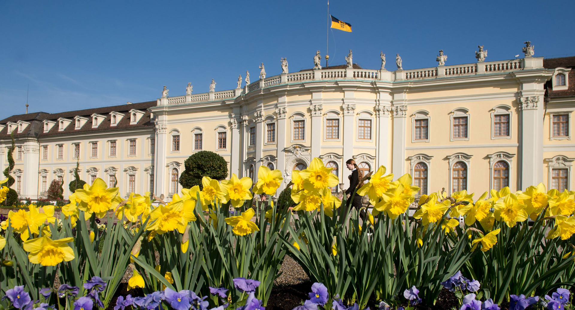 Narzissen blühen in Ludwigsburg vor dem Schloss im Blühenden Barock (Bild: © dpa). 