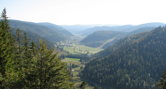 Blick nach Menzenschwand (Foto: Regierungspräsidium Freiburg)