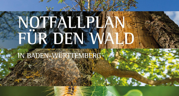 Notfallplan Wald. (Bild: Ministerium für Ländlichen Raum und Verbraucherschutz)