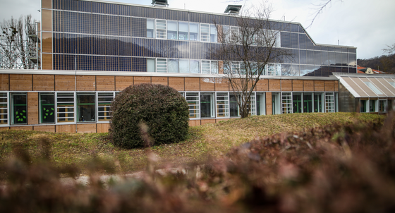 Nach der Sanierung des Michelberg-Gymnasiums hatten Fachleute im vergangenen Jahr Mängel festgestellt. (Bild: picture alliance/Christoph Schmidt/dpa)