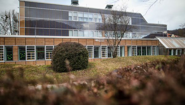 Nach der Sanierung des Michelberg-Gymnasiums hatten Fachleute im vergangenen Jahr Mängel festgestellt. (Bild: picture alliance/Christoph Schmidt/dpa)