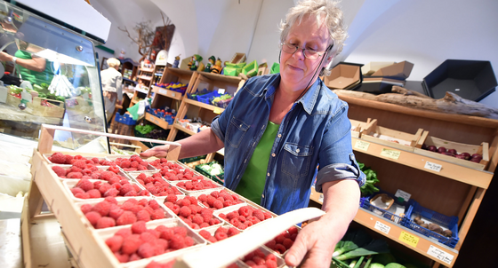 Eine Mitarbeiterin stellt in einem Hofladen in Flehingen Himbeeren aus eigenem Anbau in den Verkaufsraum (Foto: © dpa).