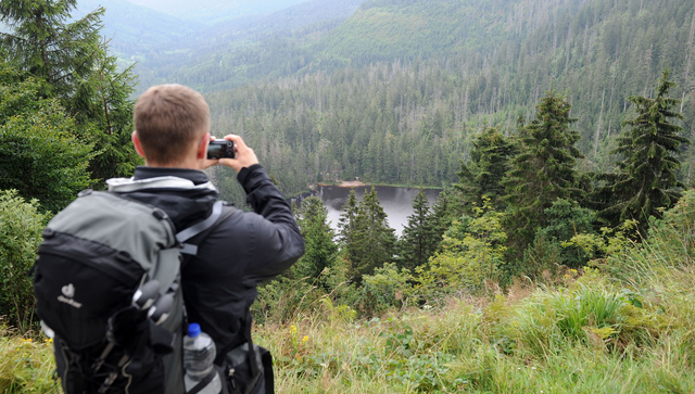 Ein Wanderer steht im Nordschwarzwald beim Ruhestein am Aussichtspunkt Wildseeblick. (Bild: Uli Deck / dpa)